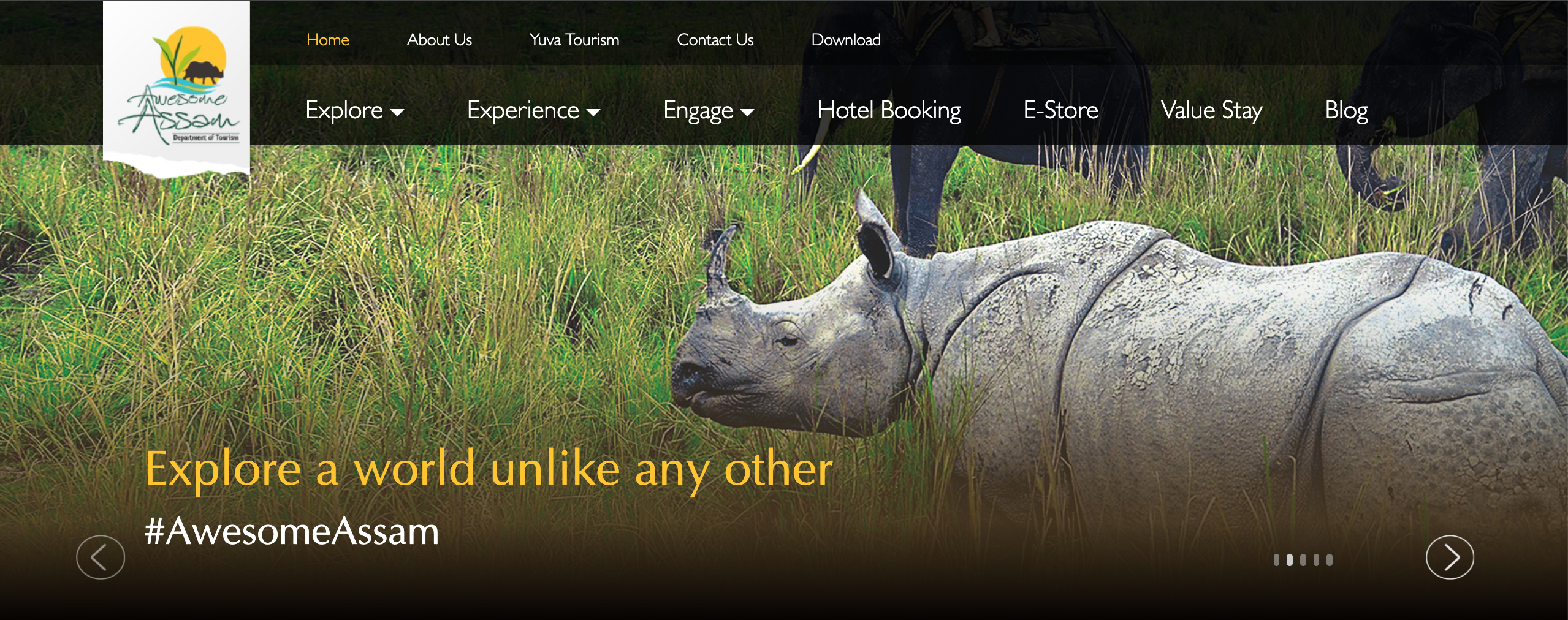 Top Banner